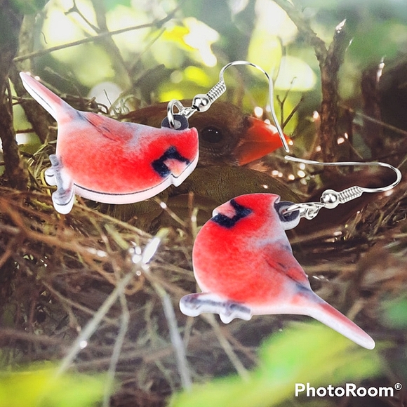 Acrylic red cardinal flat, smooth earrings. - Picture 2 of 5